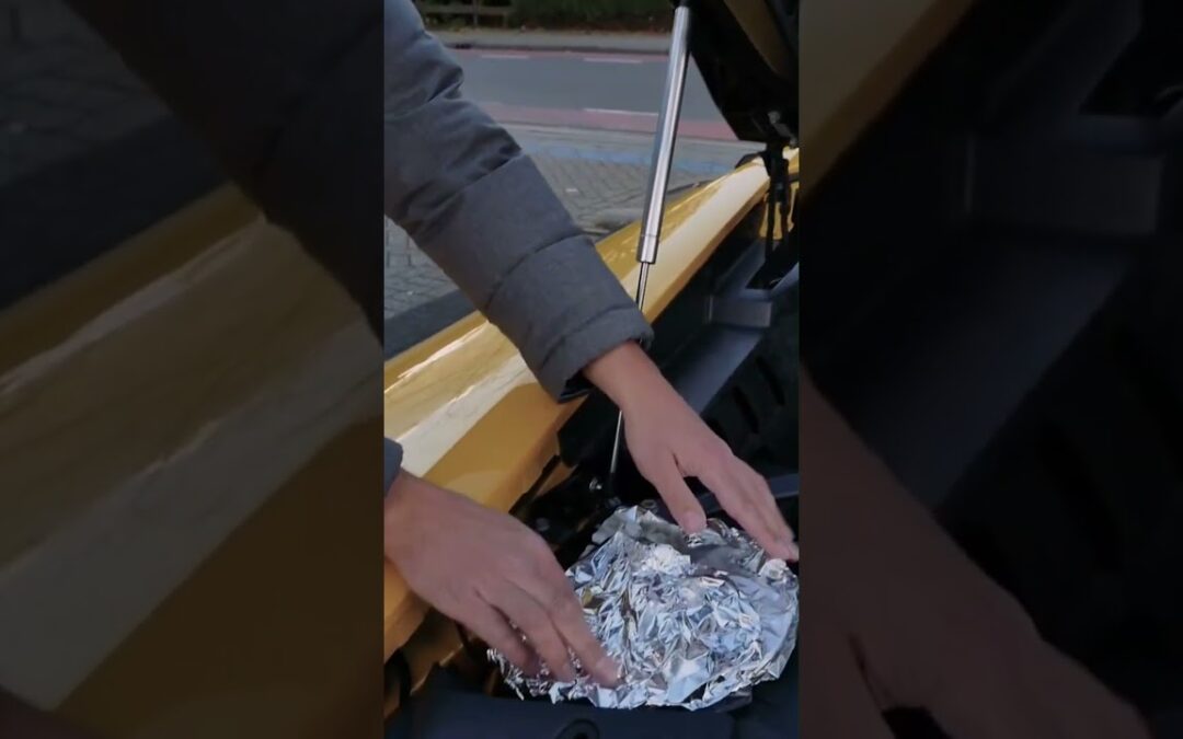 Zo bereid je een Pizza Performante