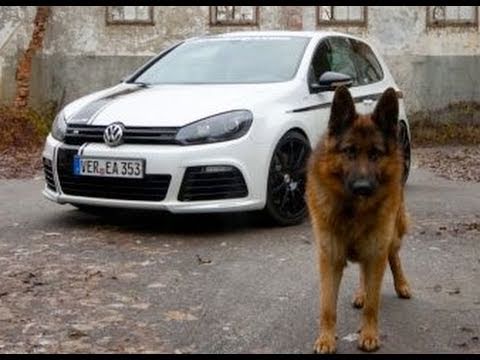 Volkswagen Golf R Sportec